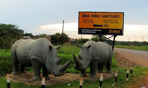 Ziwa Rhino Ranch